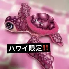 ハワイ限定❣️ ウミガメ カメ ぬいぐるみ