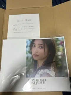 【未開封】 井上和 直筆サイン入り アナザーカバー 井上和 直筆サイン入りアザーカバー モノローグ1st写真集 特典アナザー