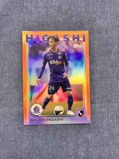 Item thumbnail for item 19e4df06-8efa-4299-a2d7-0e27c4b9894a