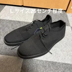 メンズ軽量シューズ新品未使用のサムネイル