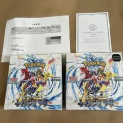 【新品未開封シュリンク付】レイジングサーフ2BOX