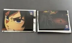 鬼滅の刃　冨岡義勇 全方位コレクション缶バッジ　２種