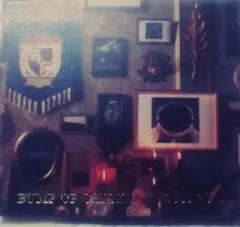 BUMP OF CHICKEN 2[2005-2010]