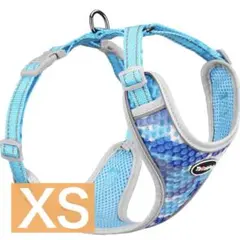 Item thumbnail for item 79aa4bd8-738b-4ffd-a921-22c79af0ccc9