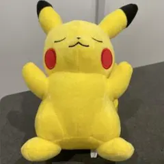 ポケットモンスター ポケモン pokemonくつろぎタイムぬいぐるみ ピカチュウ