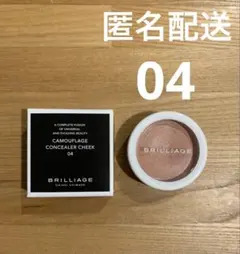 BRILLIAGE カモフラージュ コンシーラーチーク 04のサムネイル