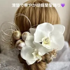 清楚で華やか胡蝶蘭髪飾り　胡蝶蘭　和玉　チュール　かすみ草　水引　卒業式　結婚式