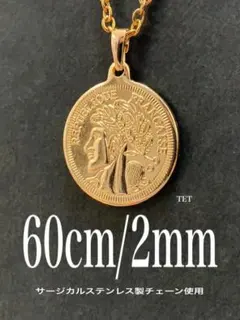 【ビッグ コインネックレス ゴールド 2mm 60cm】ステンレス a40