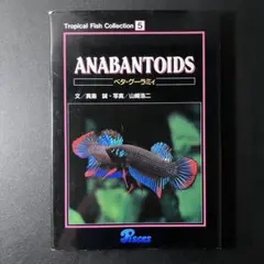 Tropical Fish Collection 5 ベタ・グーラミのサムネイル