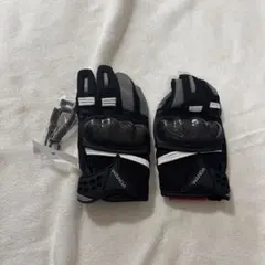 Item thumbnail for item 4229fe69-e22e-4bd2-9ce9-19998cbe37c4