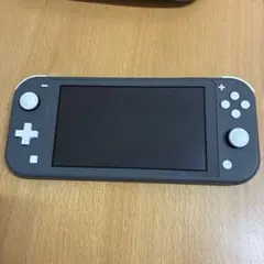 Nintendo Switch Lite グレー 本体 + ケース