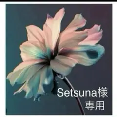Setsuna様　専用