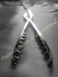 Item thumbnail for item e9e4fe0d-9b3f-462b-bd2c-8c542ff3e795