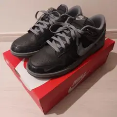 NIKE DUNK LOW RETRO QS　28cm