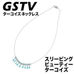 2025年最新】gstv ターコイズの人気アイテム - メルカリ