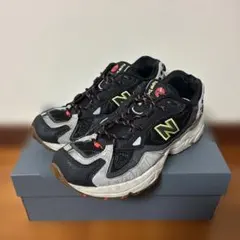 Item thumbnail for item bbf4a437-1404-4695-998e-c56738417e3b