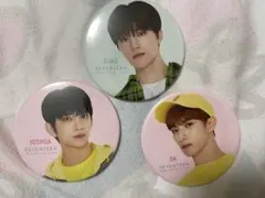 Item thumbnail for item e1da99bd-c110-4c7d-b576-270ff61d0d13