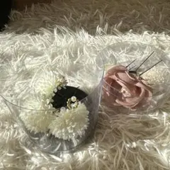 Item thumbnail for item 2599fd78-f504-46b9-a255-cb7d9006c196