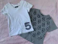 チャビーギャング100