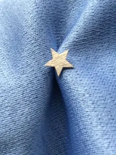 Item thumbnail for item a9986a4e-2c5a-4f76-a163-ac5d7b2d6fd0