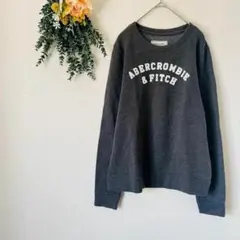 アバクロンビーアンドフィッチ トレーナー スウェット / グレー M サイズ