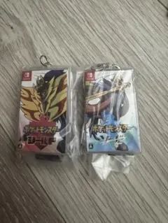 ポケモンセンター限定＊キャラクタードックカバー＊キバナ