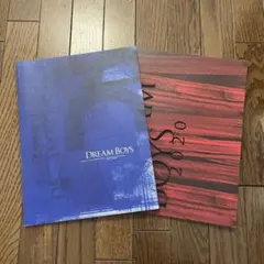 DREAM BOYS パンフレットまとめ売りセット