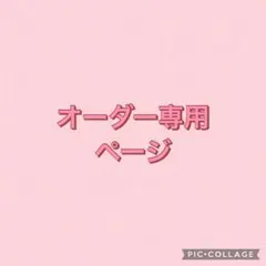土日祝のみ発送します様　専用ページ