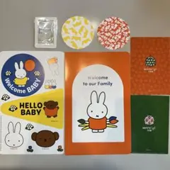 ミッフィーmiffy 手形・足形・命名書シート&フォトプロップス クリアファイルのサムネイル