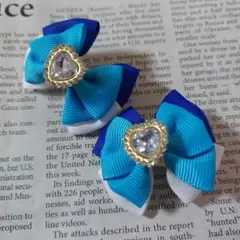 Item thumbnail for item ad6e218e-3ba9-490b-b517-51011ffe1894