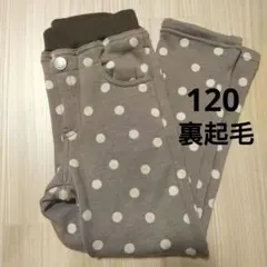 裏起毛 120