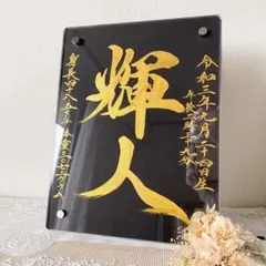 Item thumbnail for item bafe270c-7831-4028-ac6c-7781b93d0517