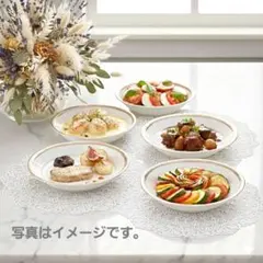 廃盤 希少 ノリタケ（Noritake）のボーンチャイナ製フルー皿 5客セット