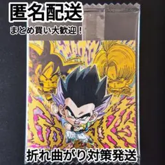 ドラゴンボール 超戦士シールウエハース超 14 ゴテンクス 融合と合体の超越者