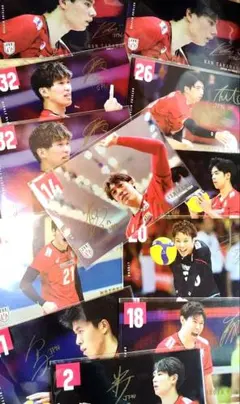 バレーボール男子日本代表 ポストカードコレクション セット