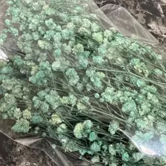 ドライフラワー　かすみ草　650円　3