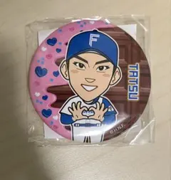 T.LEAGUE 缶バッジチャンスくじ2026 Tリーグ 卓球 張本智和 - メルカリ