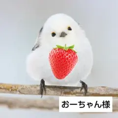 おーちゃん様 リクエスト 3点 まとめ商品