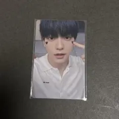 txt スビン　トレカ　sanctuary