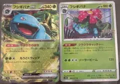 フシギバナex & フシギバナ セット