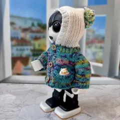 ロボホン＊opal毛糸＊段染め毛糸フーディガン