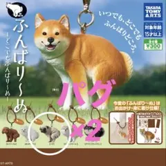 ふんばり〜ぬ　パグ ガチャガチャ