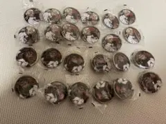 ツイステ カプ缶6 スカラビア