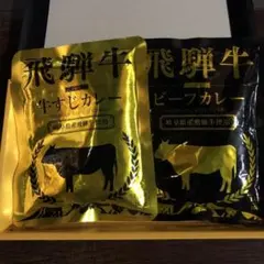 飛騨牛 カレー 2種セット 牛すじ ビーフカレー レトルトのサムネイル