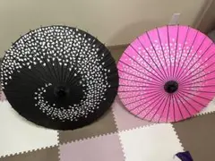 Item thumbnail for item 673bcad1-6e8f-4808-af49-c95e0c15c3db