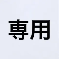 専用ページ