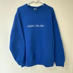 FRUIT OF THE LOOM 青 スウェット
