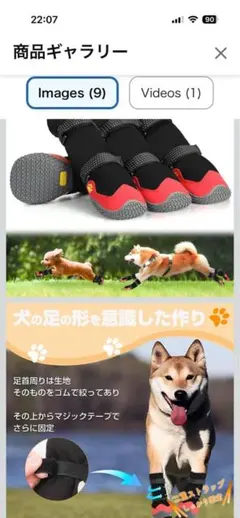 Item thumbnail for item a8c13dc0-5982-4d78-888e-0b1ab615e6a9