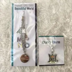 【新品】嵐 BeautifulWorld キーホルダー チャーム