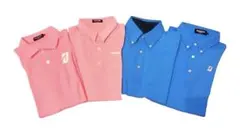 Item thumbnail for item 109591ff-48f8-4ea2-9eec-3a9105c3f1a4